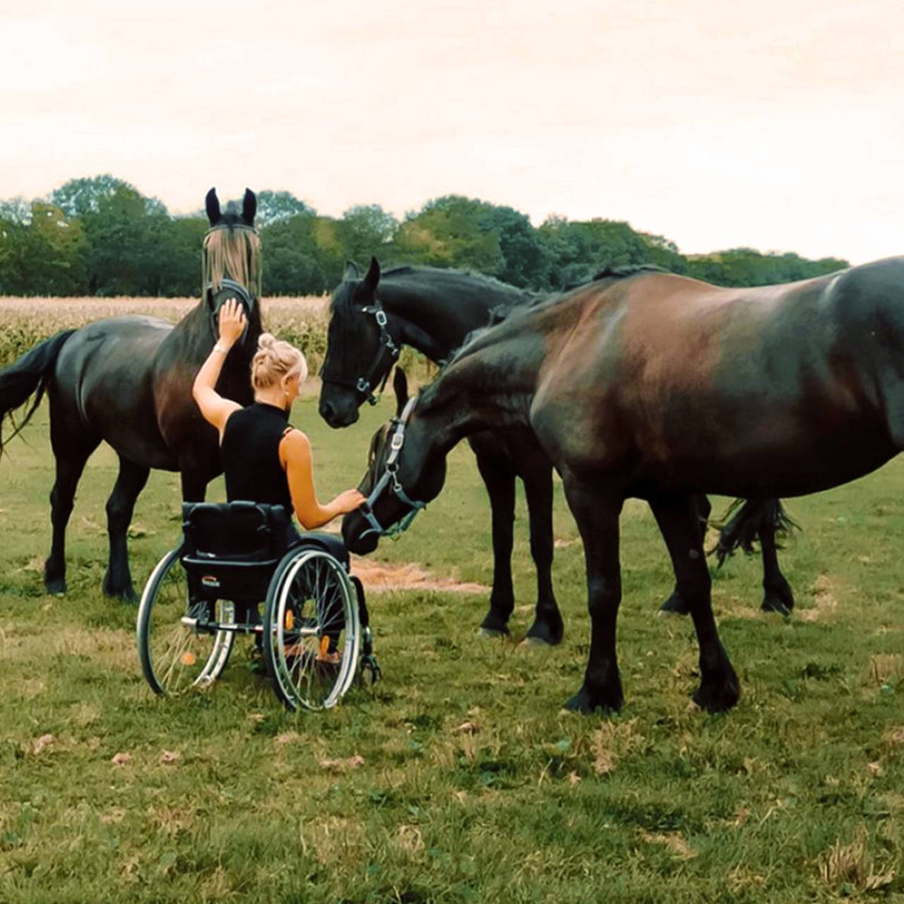 From wheels to heels