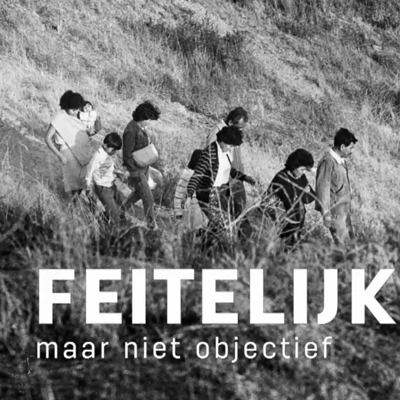 Feitelijk maar niet objectief