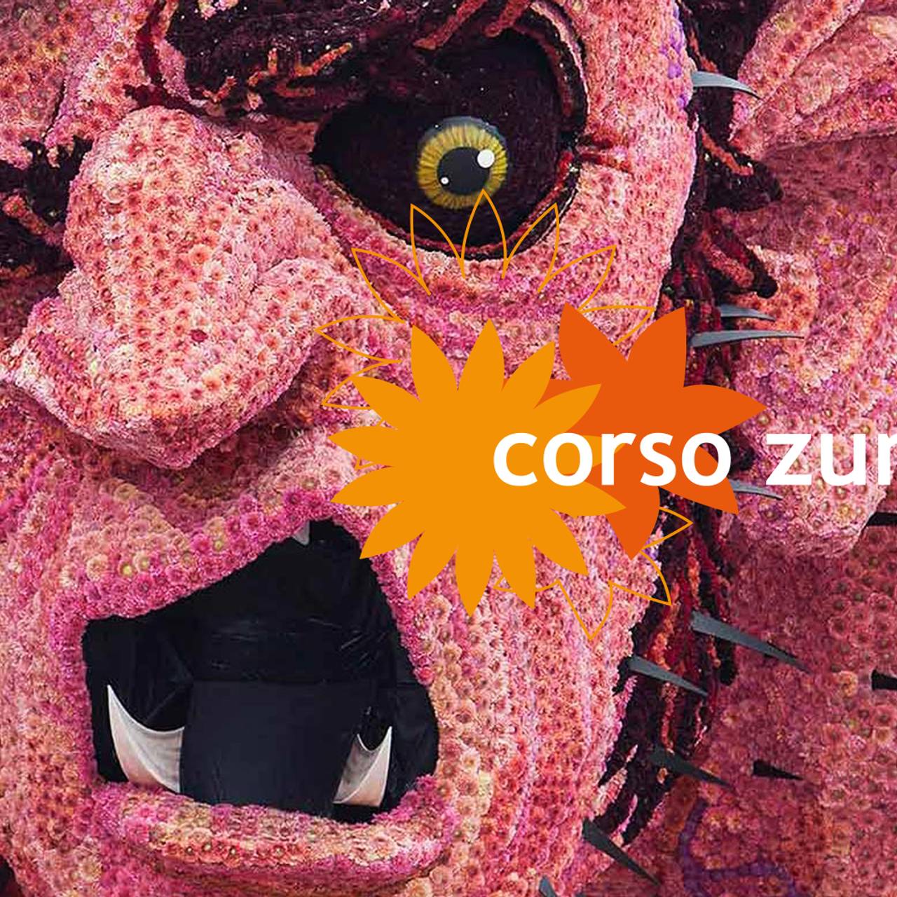 Hoogtepunten Corso Zundert