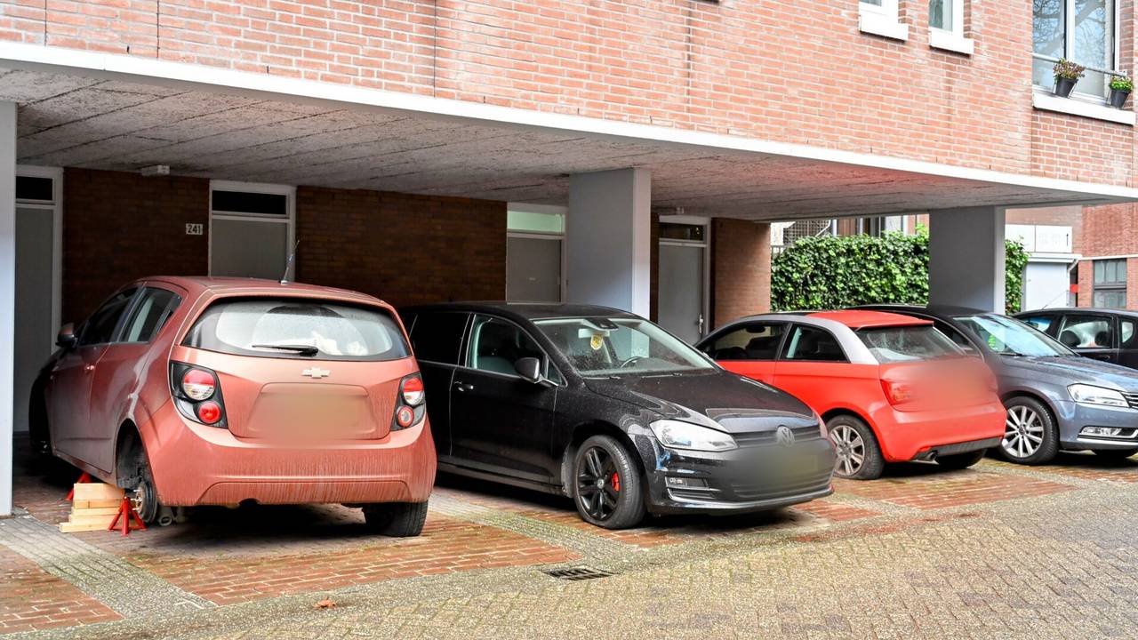 Foto: Tom van der Put/SQ Vision