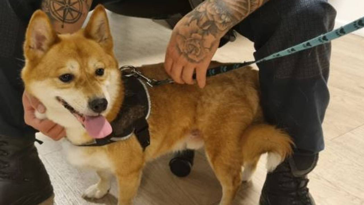 Foto: Instagram politie Helmond.