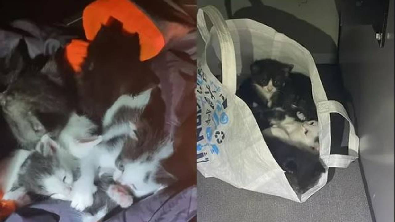 Foto: Instagram jeugdagenten Langstraat.