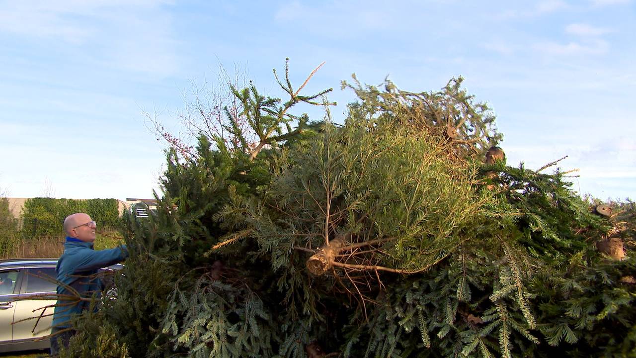 De kerstbomen in Uden gaan in de fik (foto: Raymond Merkx).