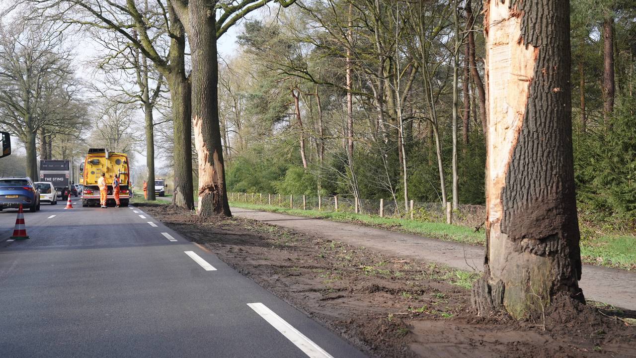 De vrachtwagen raakte bij de Boslaan in Vught van de weg (foto: Bart Meesters).