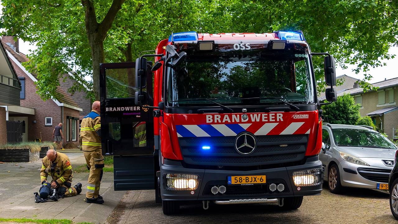 Foto: Gabor Heeres/SQ Vision Mediaprodukties