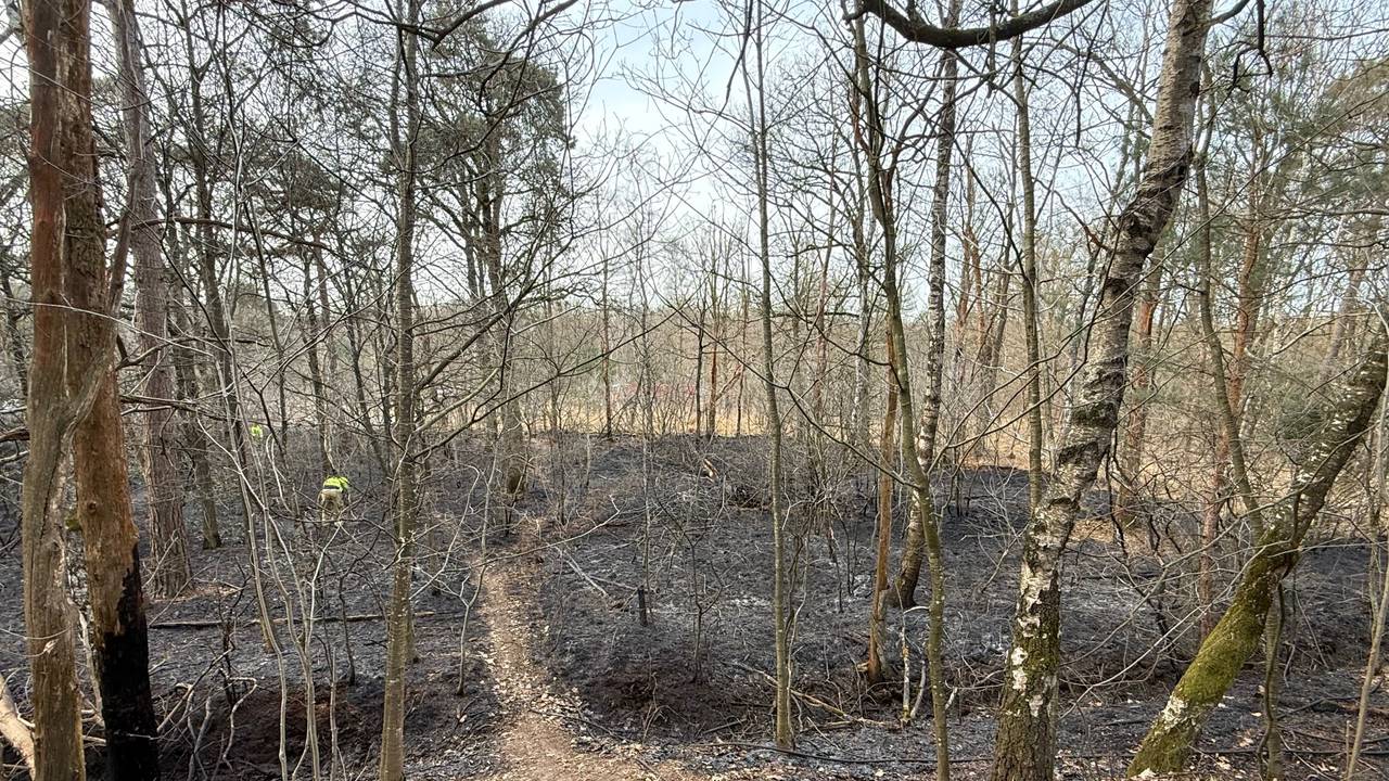 Foto: Bart Meesters. 