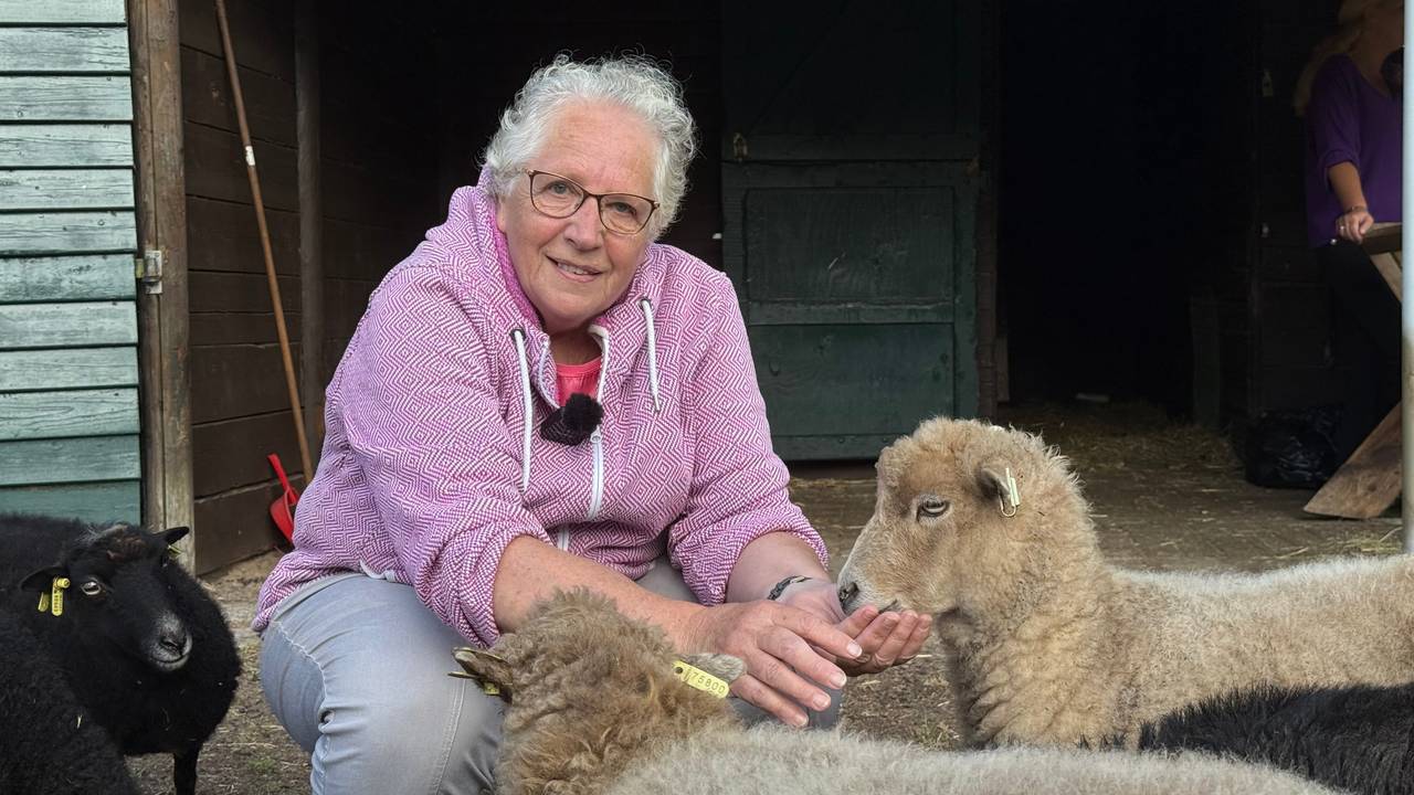 Ina dreigt haar dierenweide kwijt te raken na het overlijden van haar man (foto: Megan Hanegraaf).