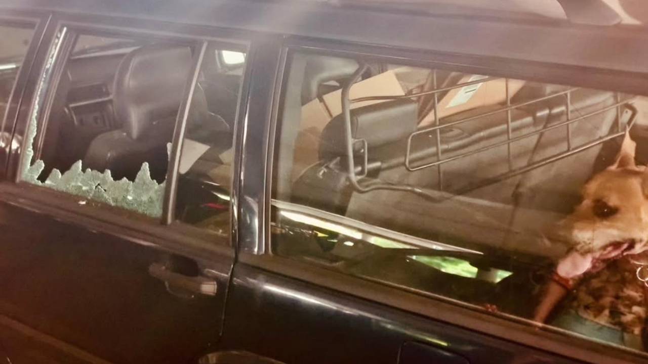 Honden achtergelaten in hete auto, politie slaat ruit in