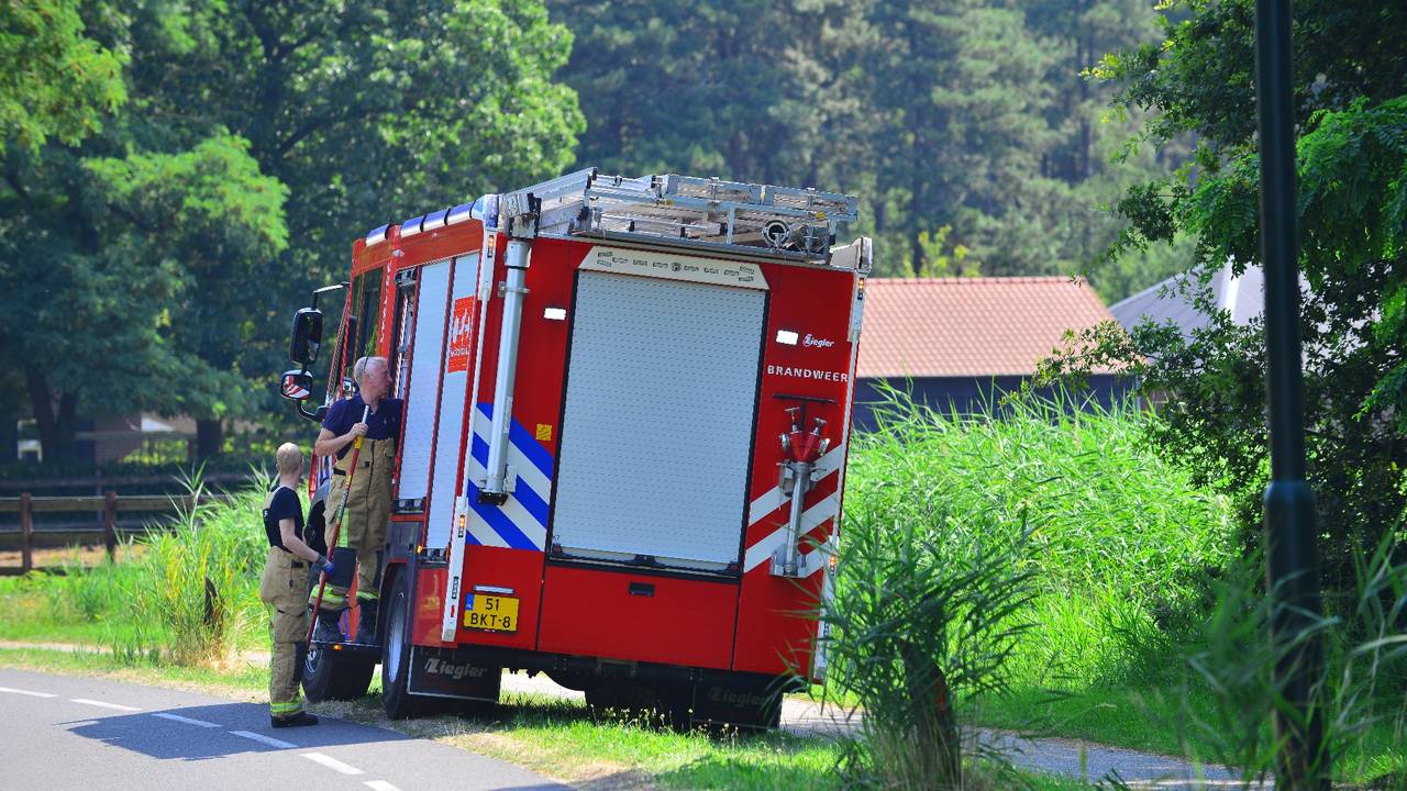 Om de afgebroken tak in Maarheeze weg te halen, werd de brandweer opgeroepen (foto: Johan Bloemers/SQ Vision).