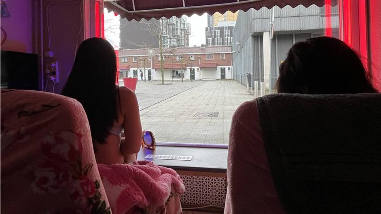 www.omroepbrabant.nl