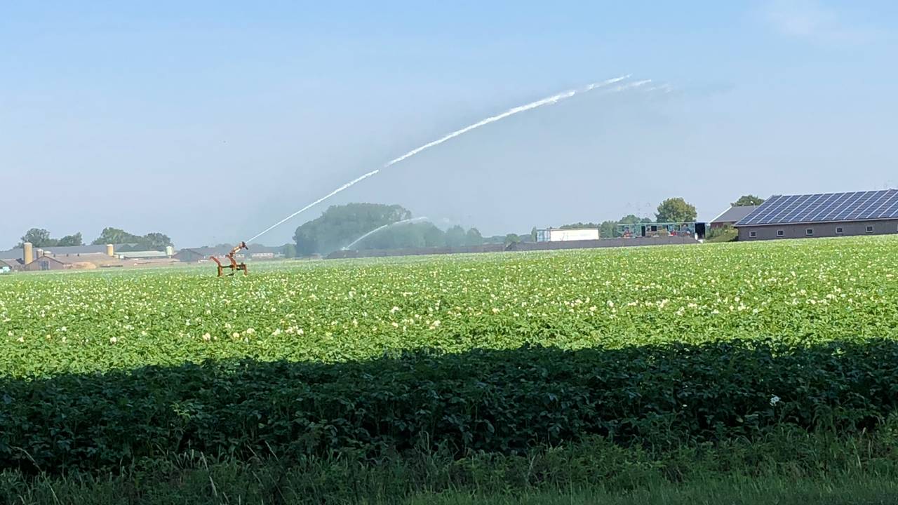 Beregenen mag weer (foto: Hans Janssen).