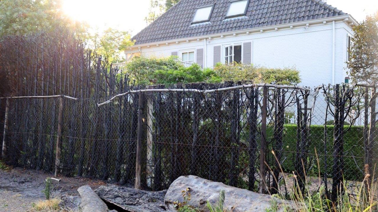 Van de heg in Vught bleef weinig over (foto: Bart Meesters).