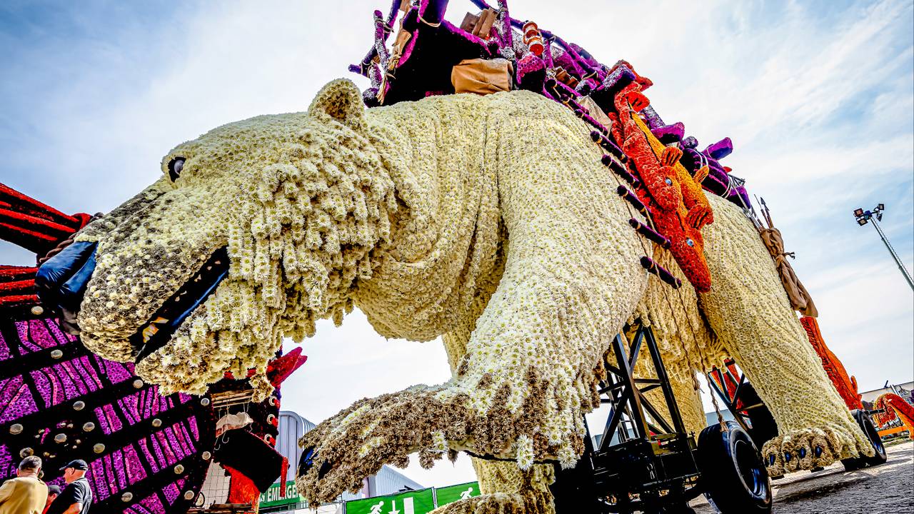 Winnaar Van Bloemencorso In Zundert Is Bekend Omroep Brabant