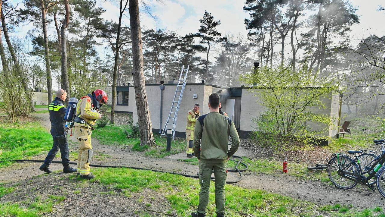 Foto: Rico Vogels / SQ Vision 