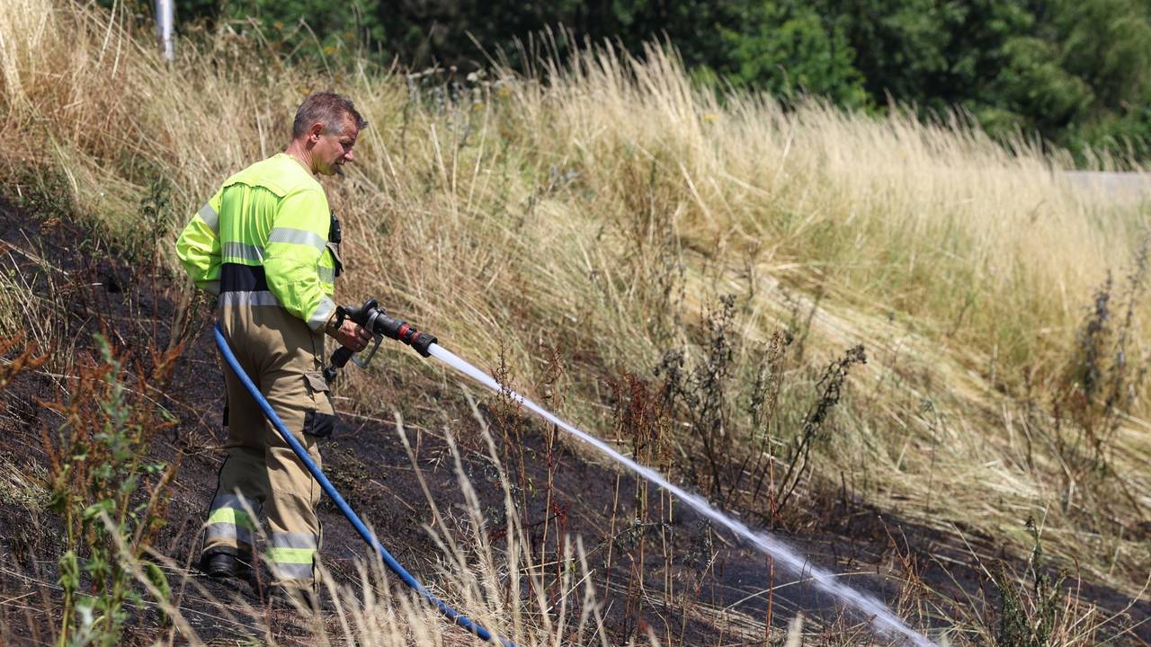 Foto: Sander van Gils/SQ Vision