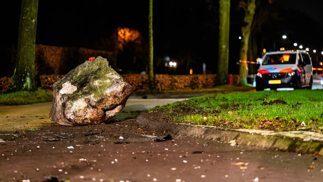 Automobilist overleden na botsing tegen zwerfkei.
