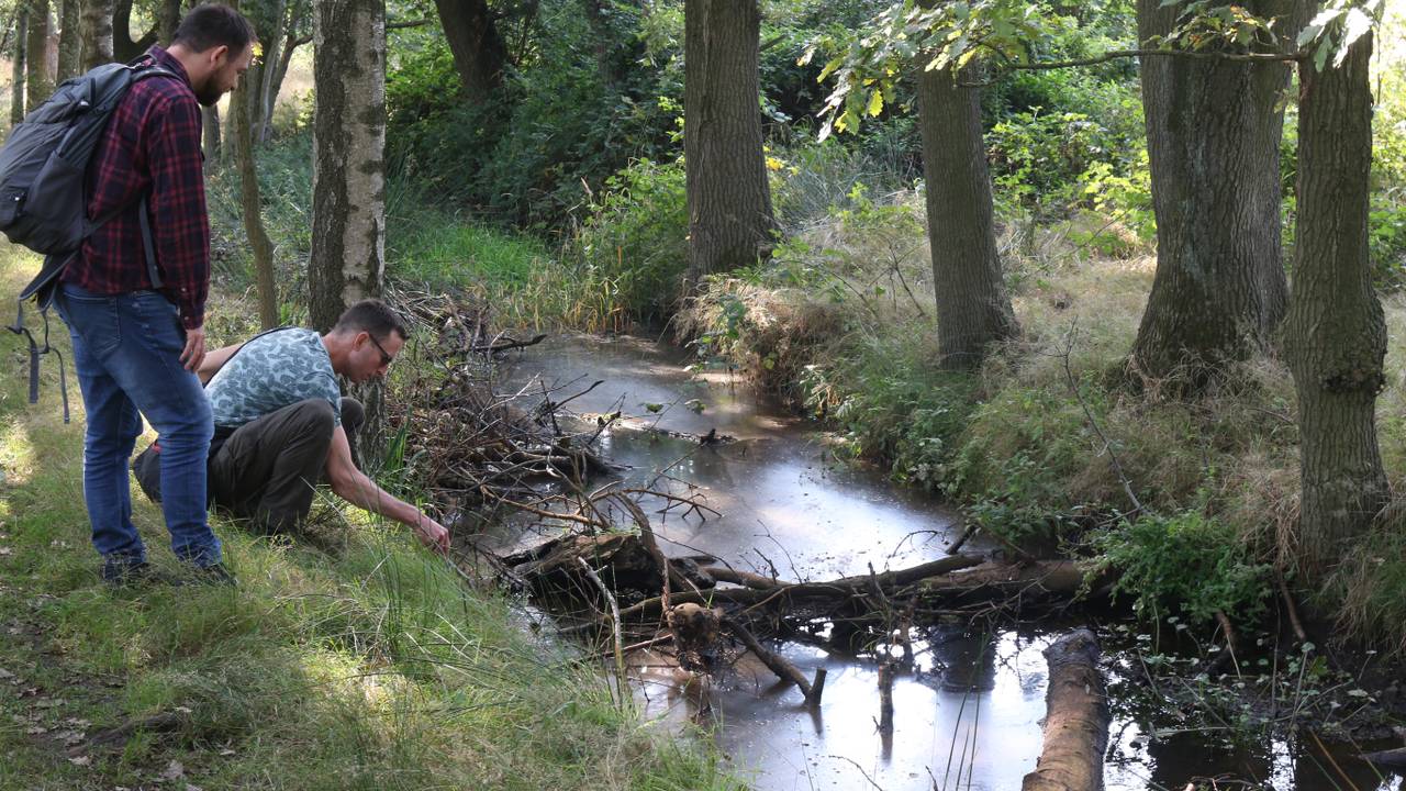 Roy van Grunsven (links) en Marcel Cox aan de oever van de Esperloop.