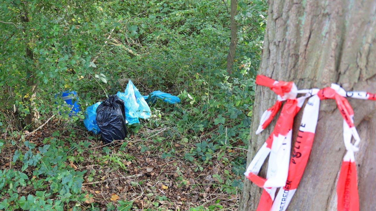 Foto: Bart Meesters/SQ Vision