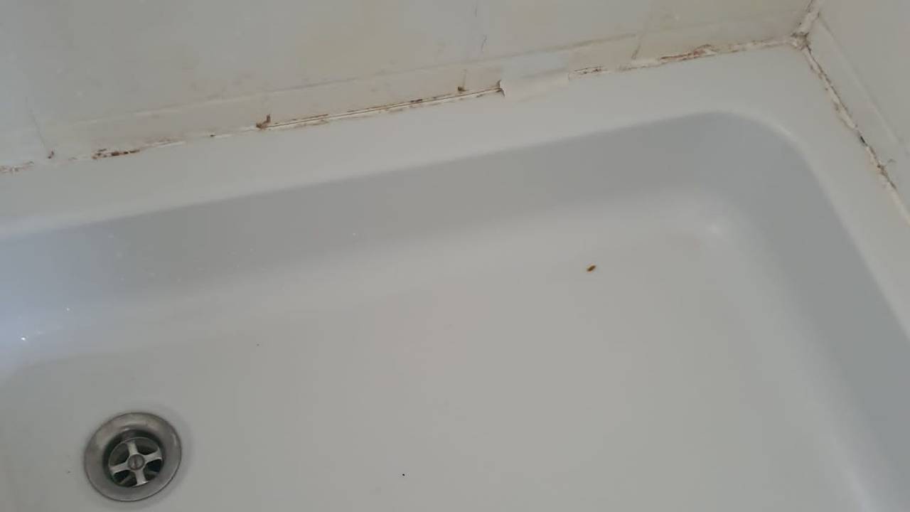 Schimmel in de douche van een huisje op Vakantiepark Prinsenmeer (foto: Sabina en Peter Grob)