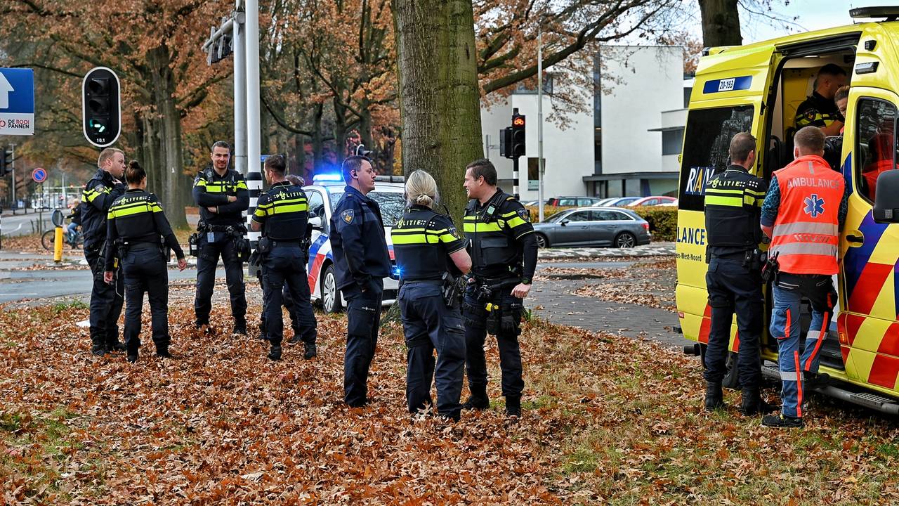 De agenten die de man onder controle moesten krijgen (foto: Persbureau Heitink / Toby de Kort).