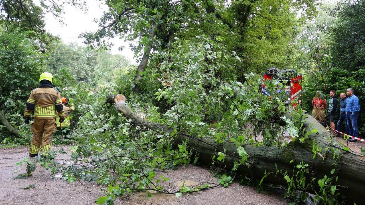 De brandweer zaagde de boom in Haaren in stukken (foto: Bart Meesters)