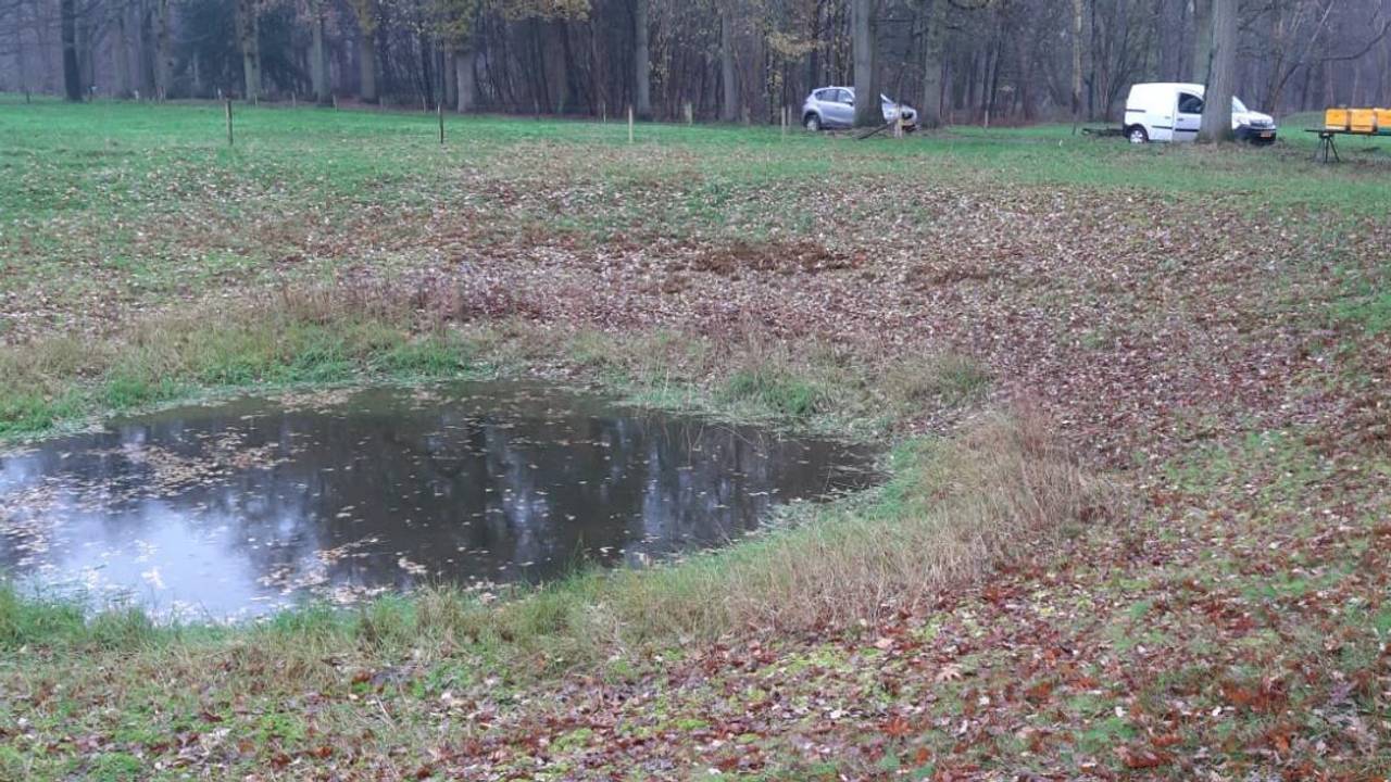 De waterpoel waar de ambifiën wonen.
