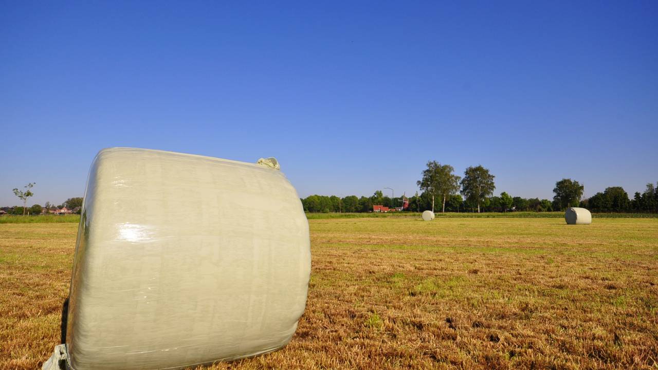 Een Franse uitstraling, maar het is in Oost-Brabant (foto: Ben Saanen). 