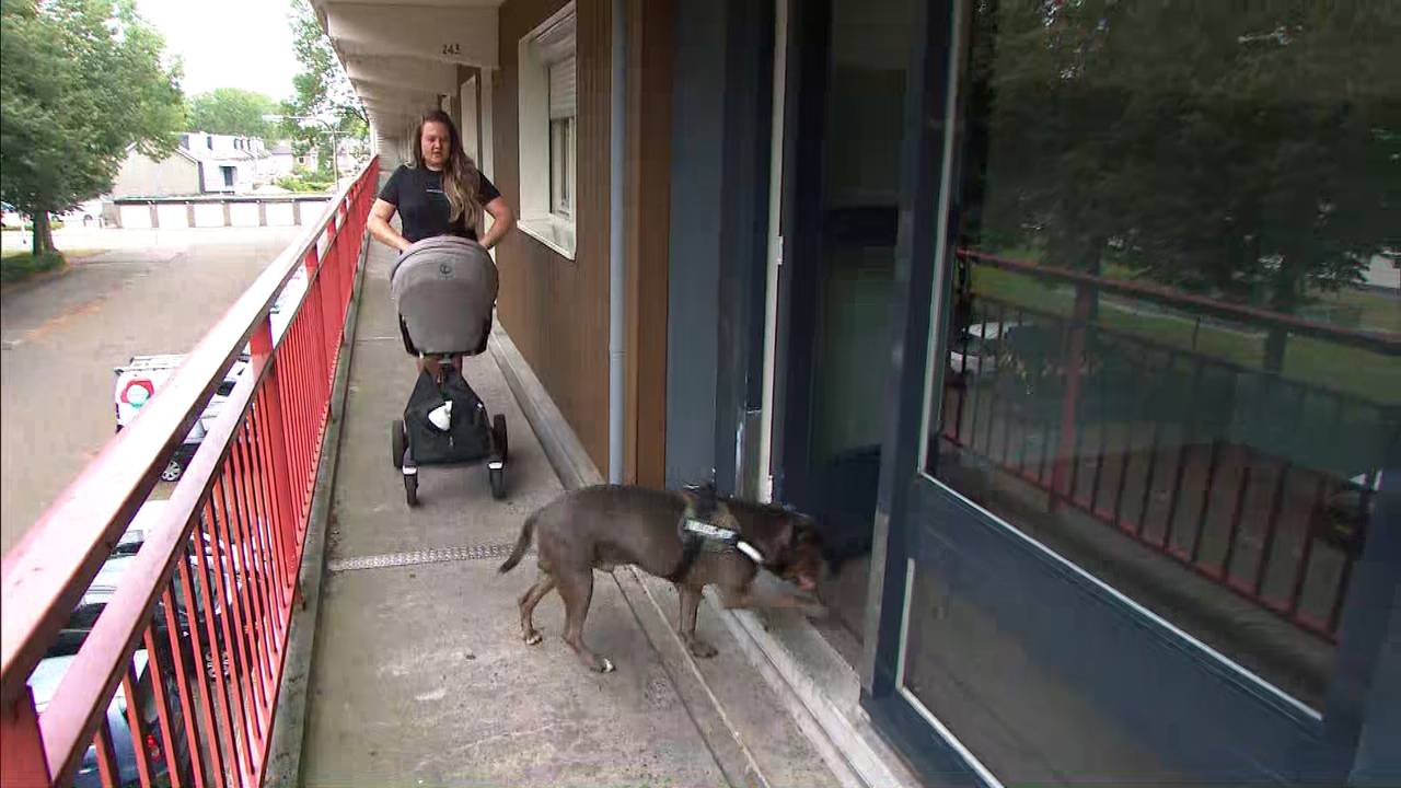 De lift in de flat van Ashley is voor de vierde keer dit jaar kapot: 'Ik kan geen kant op'