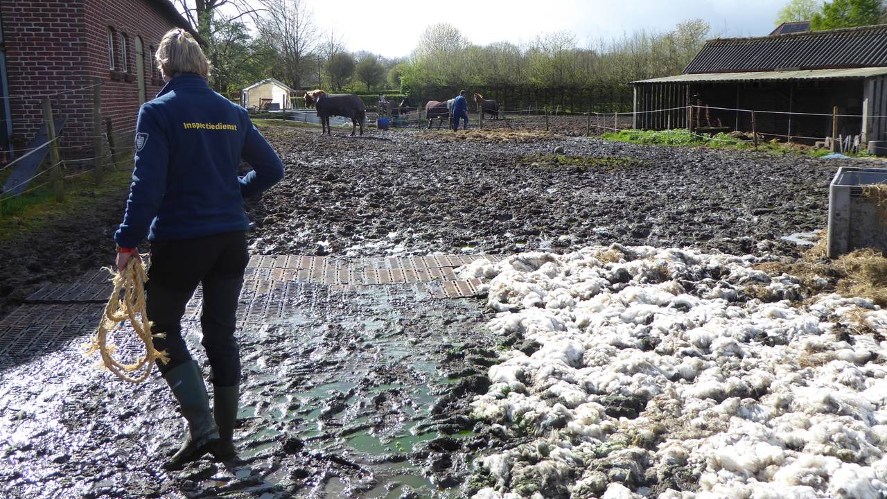 Foto: Landelijke Inspectiedienst Dierenwelzijn
