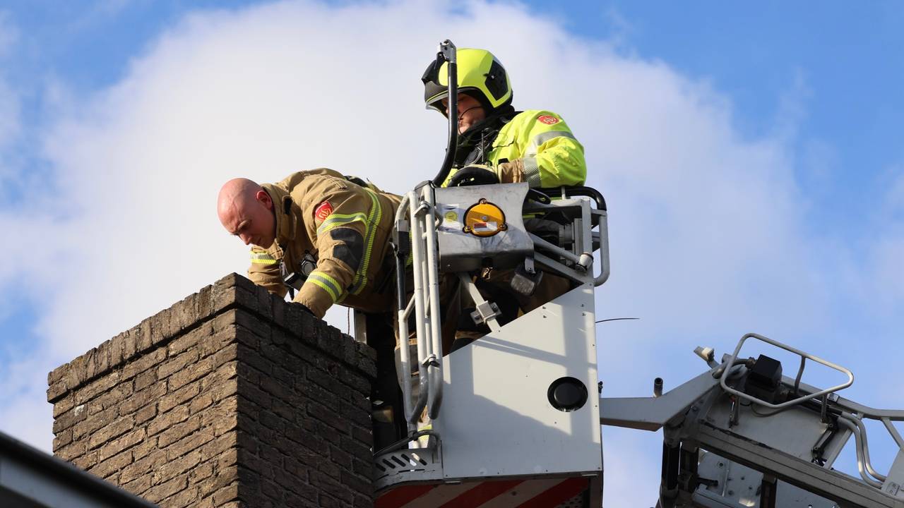 Foto: Sander van Gils/SQ Vision