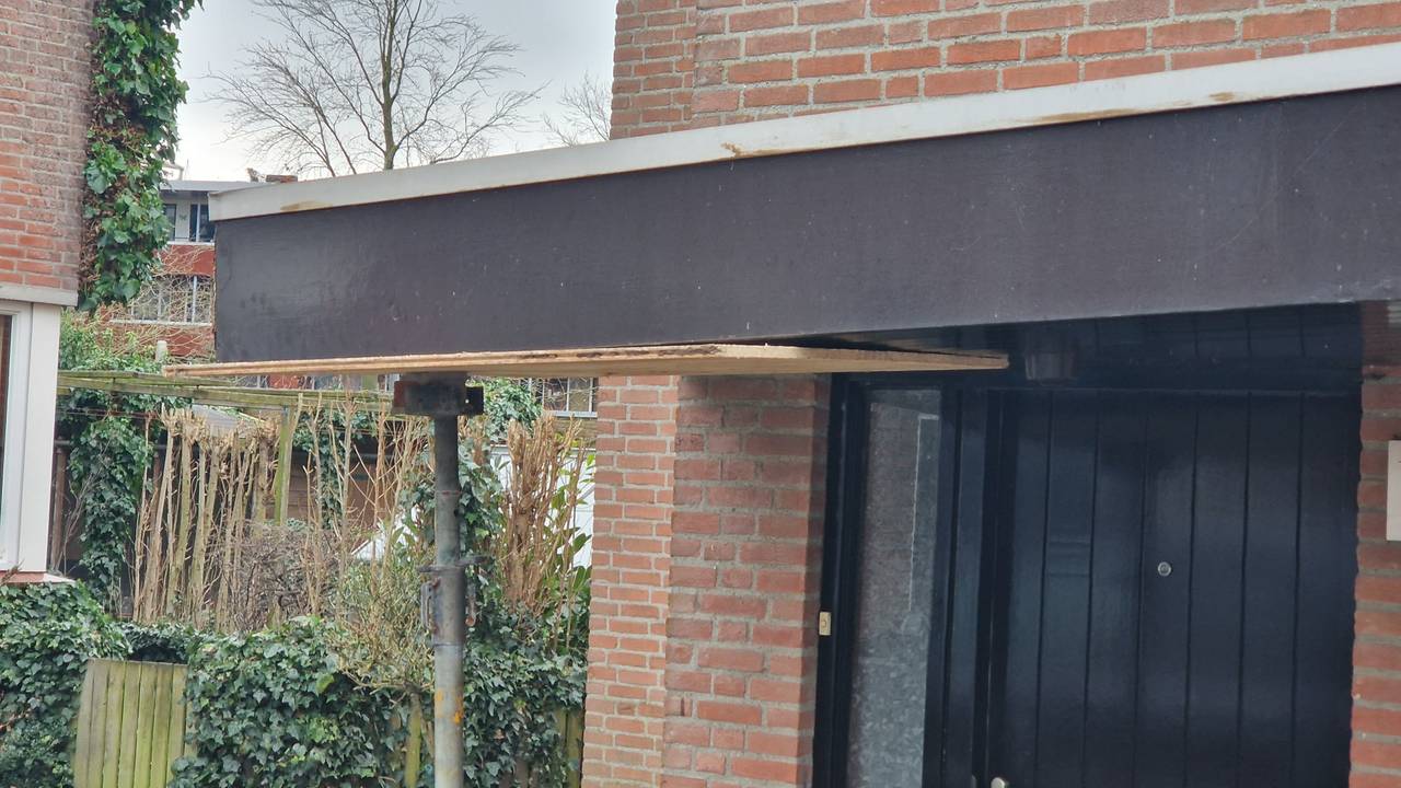 Foto: Noël van Hooft.