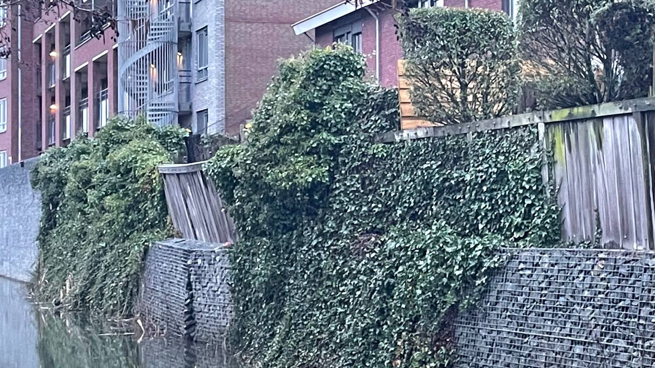 Ga naar slide 5