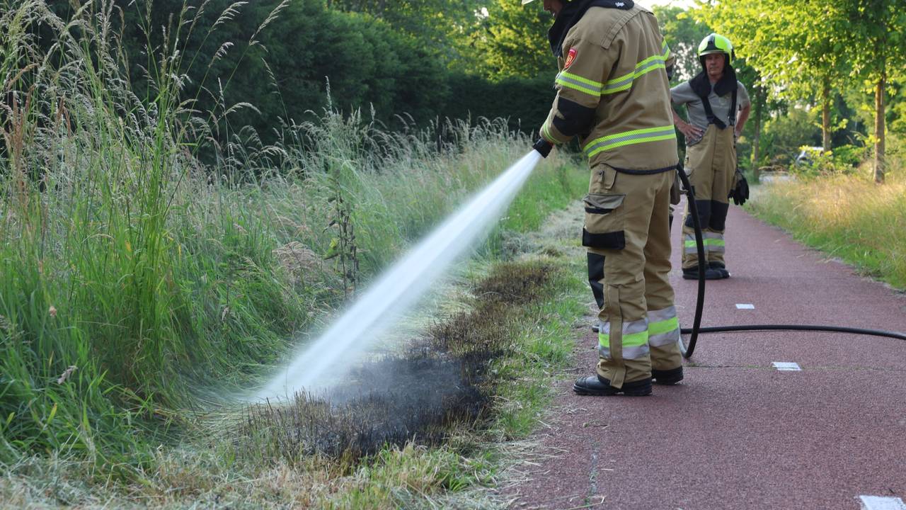 Foto: Sander van Gils/SQ Vision