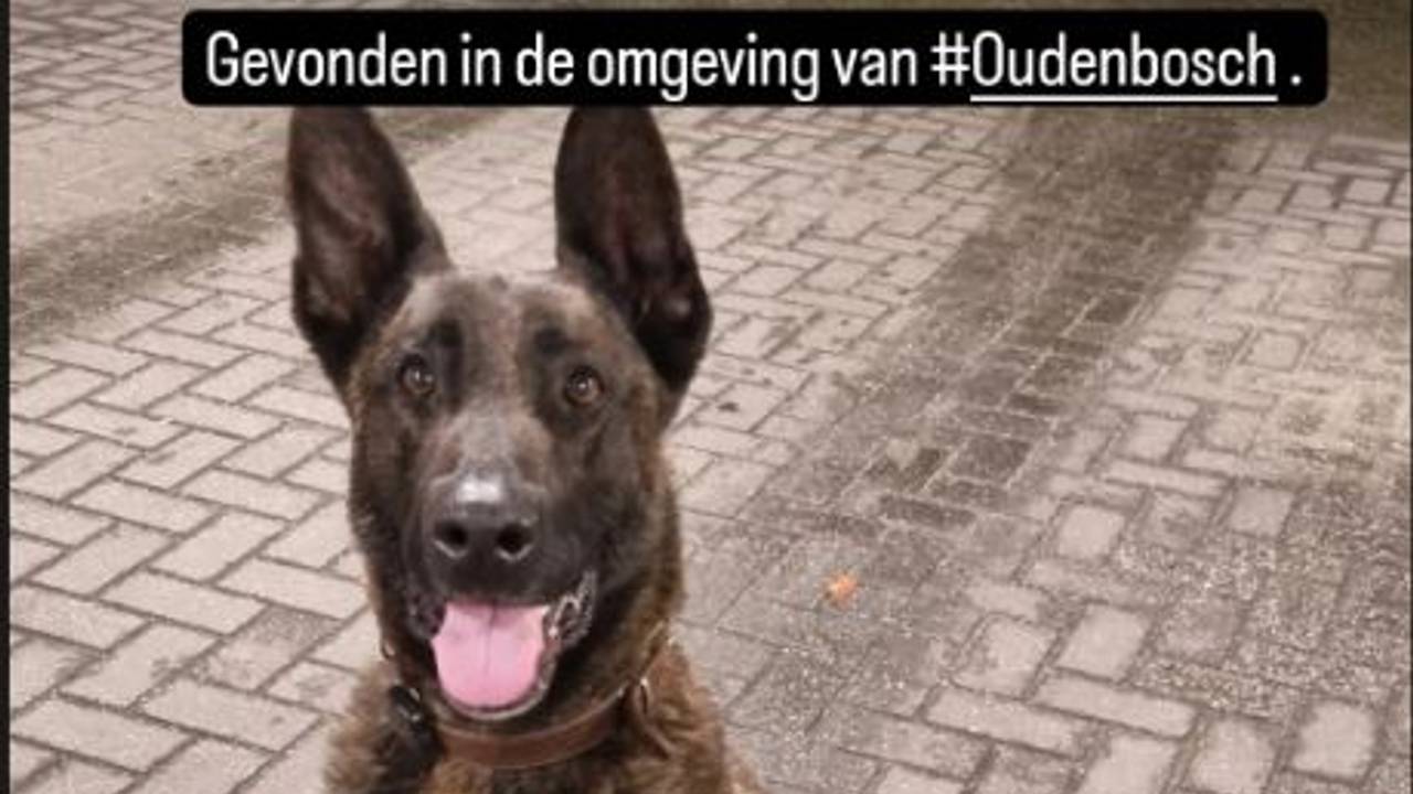 Foto: Instagram politie Roosendaal