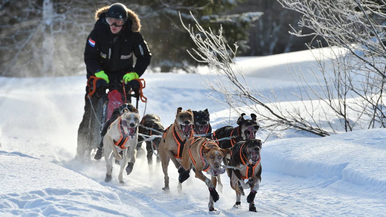 Stefan og hans 6 sledehunder konkurrerer om verdenstittelen i Norge