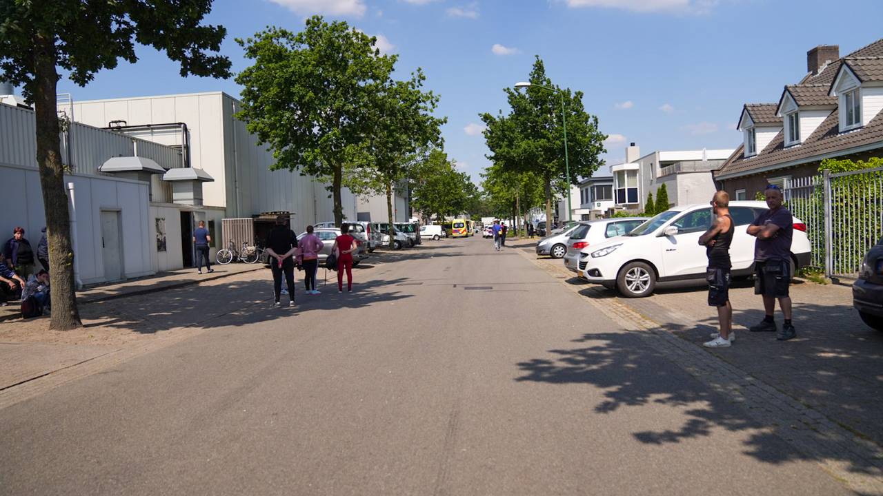 Foto: Harrie Grijseels/SQ Vision