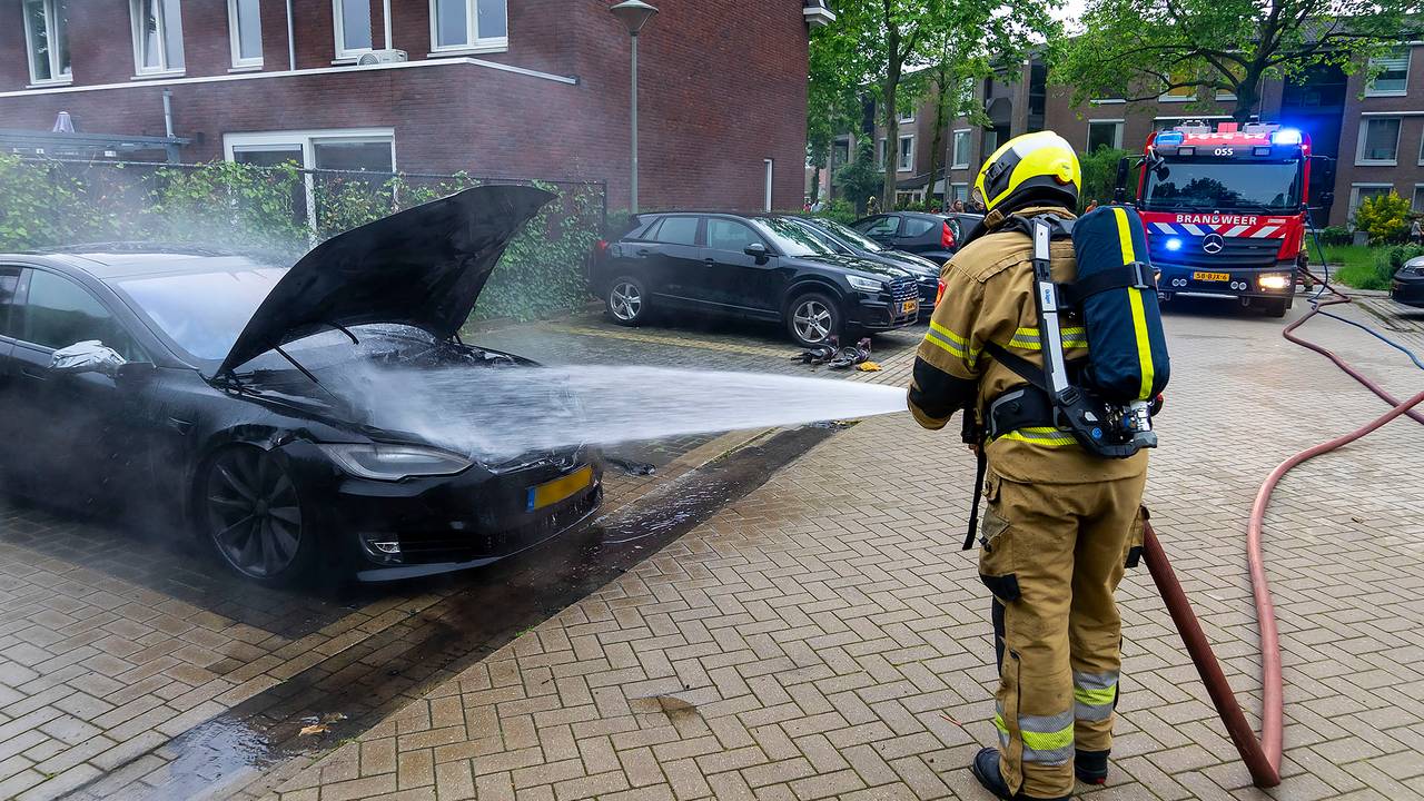 Foto: Gabor Heeres / SQ Vision