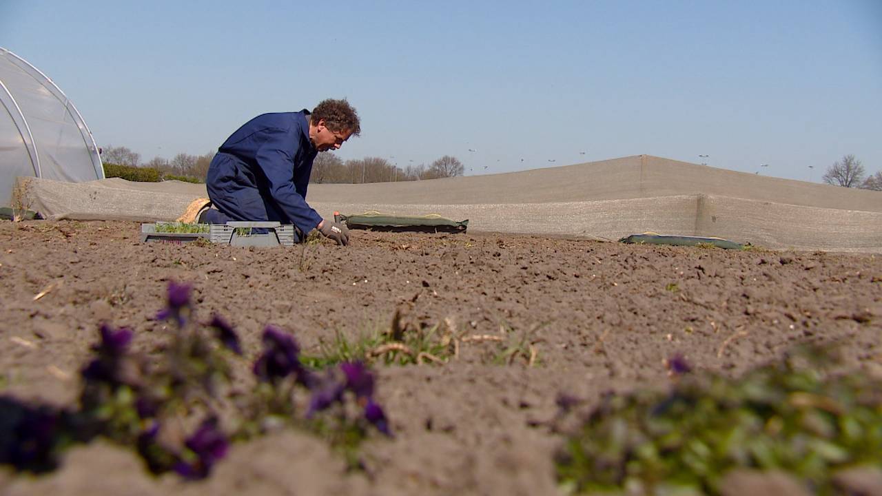 Boer Henk is bezig met de oogst voor mei en juni