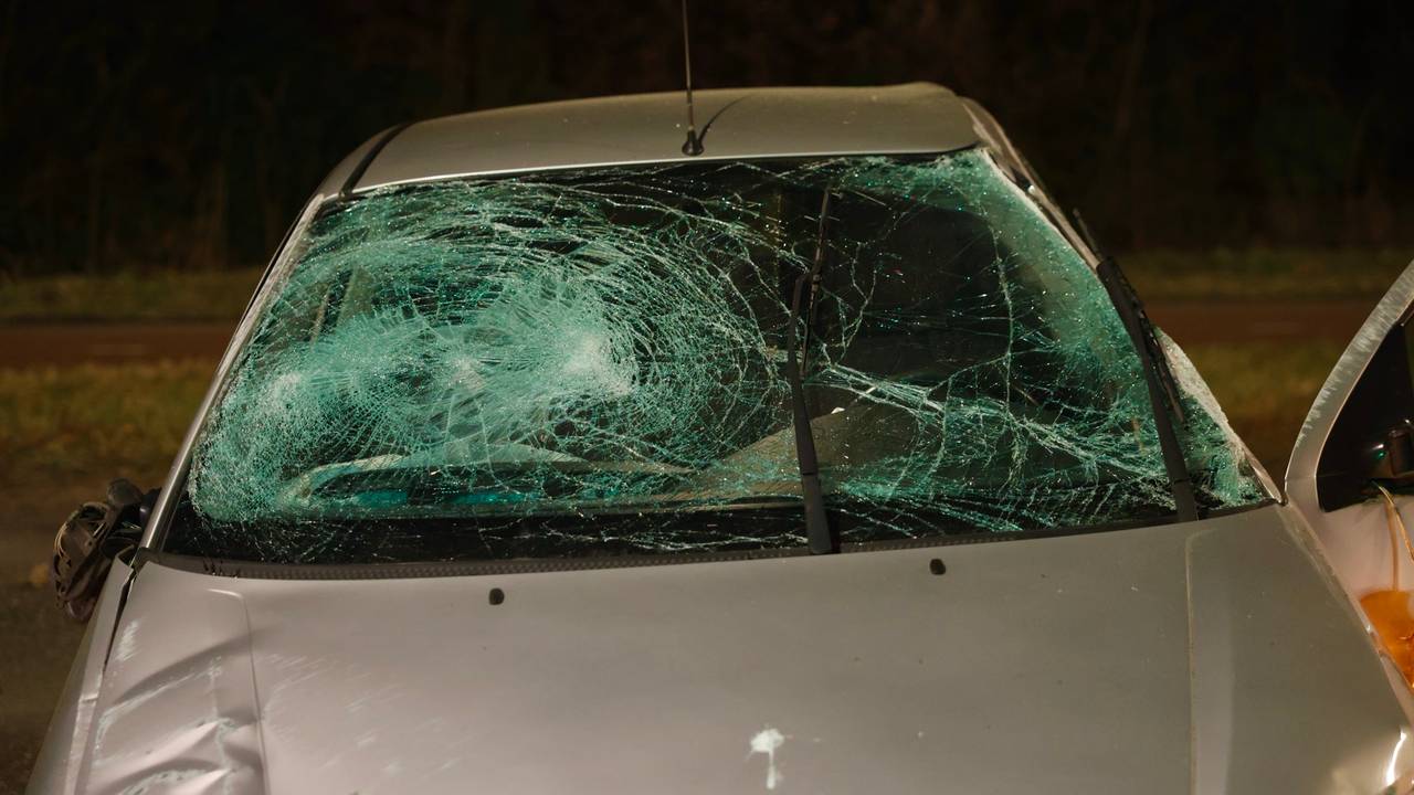 Foto: Sander van Gils/SQ Vision.