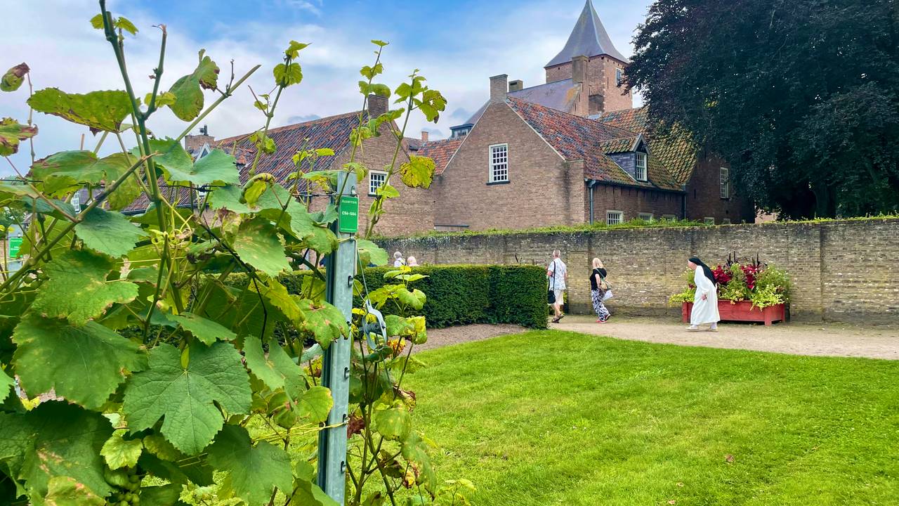 Gebeden van de nonnen in Oosterhout lijken verhoord - Vimarsana News