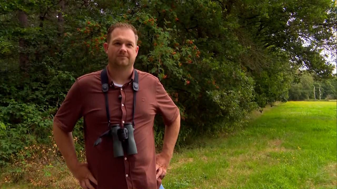 Enorme impact op natuur door hoogspanningslijn