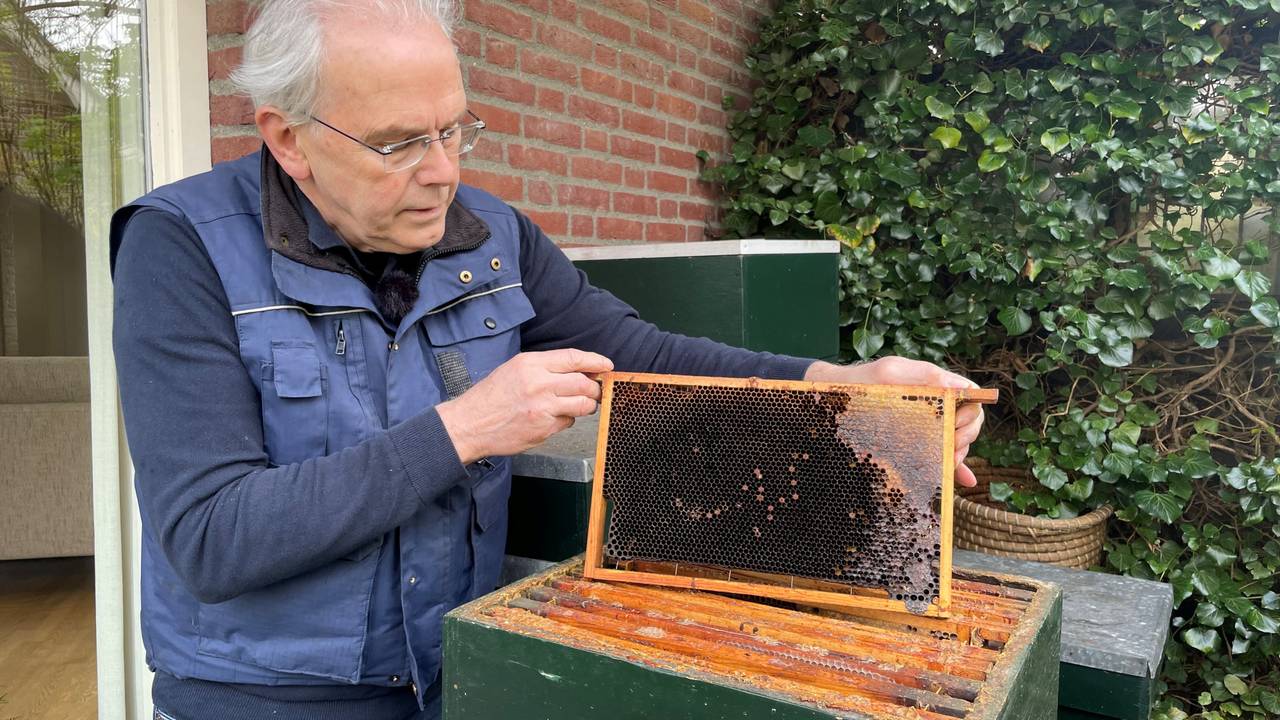 Ad van der Heijden uit Mariaheide verloor 4 van zijn 10 volken (foto: Jos Verkuijlen)