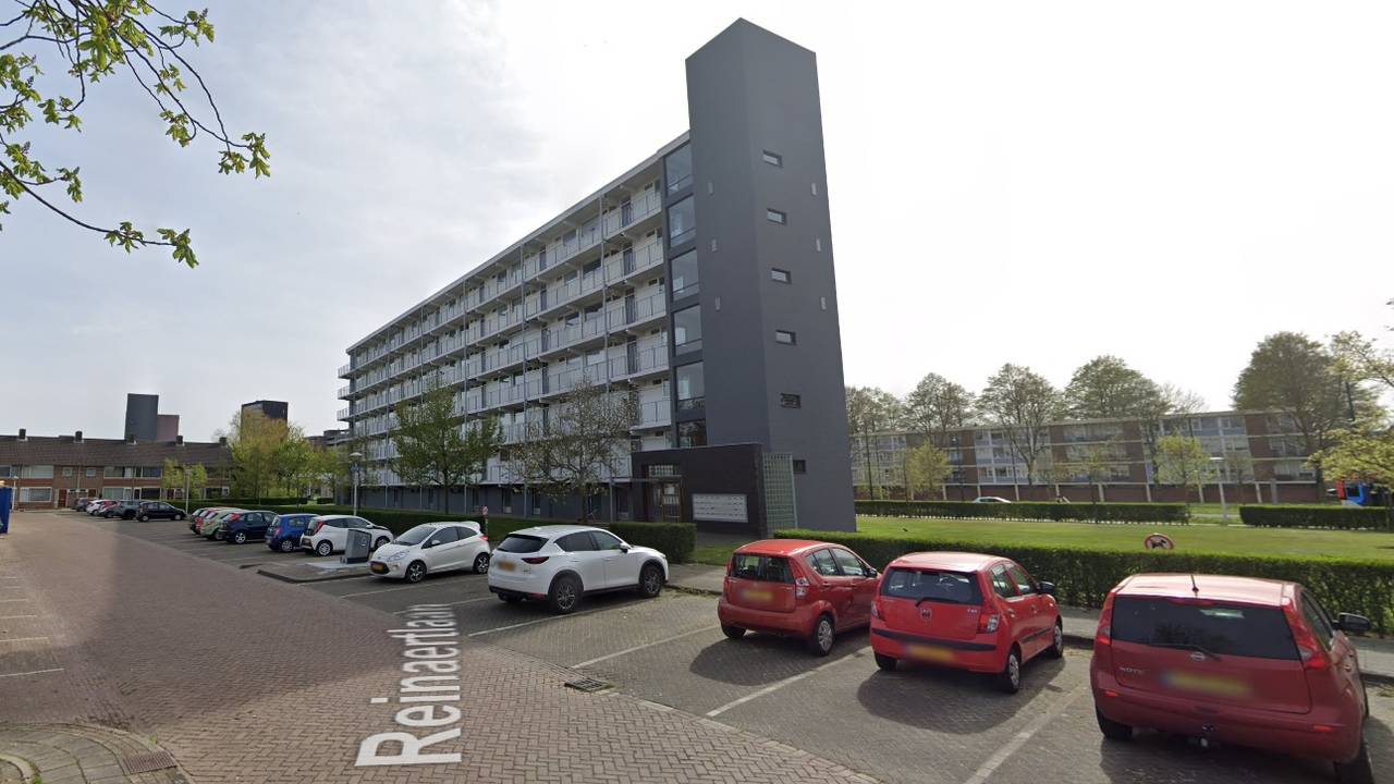 De Reinaertlaan in Eindhoven (foto: Google Maps).