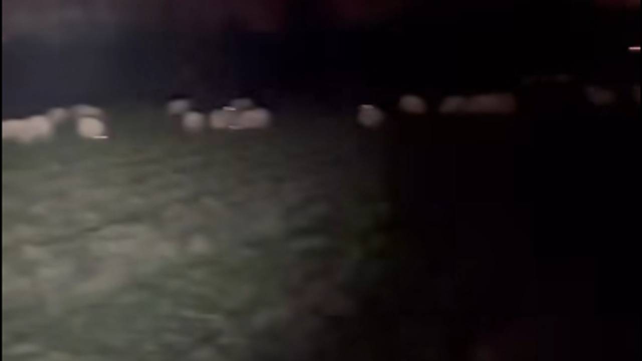 Beeld: Instagram Politie_Cranendonckheezeleende.