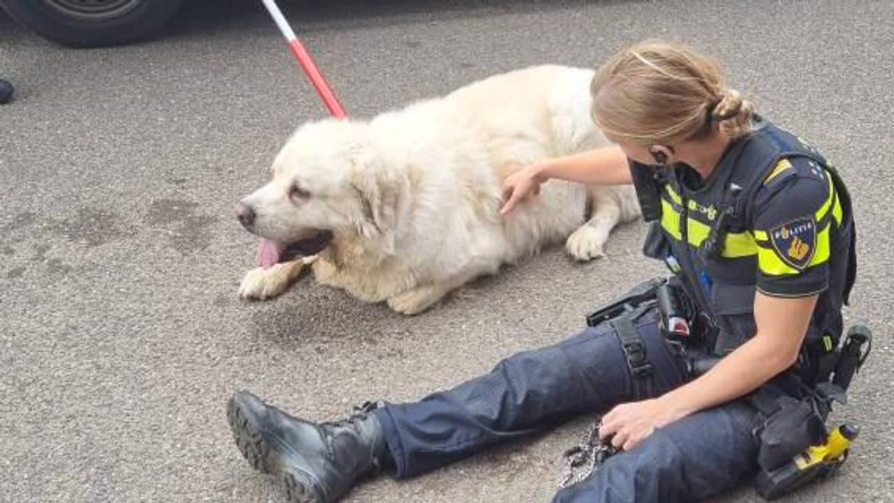 Foto: Politie Tilburg.