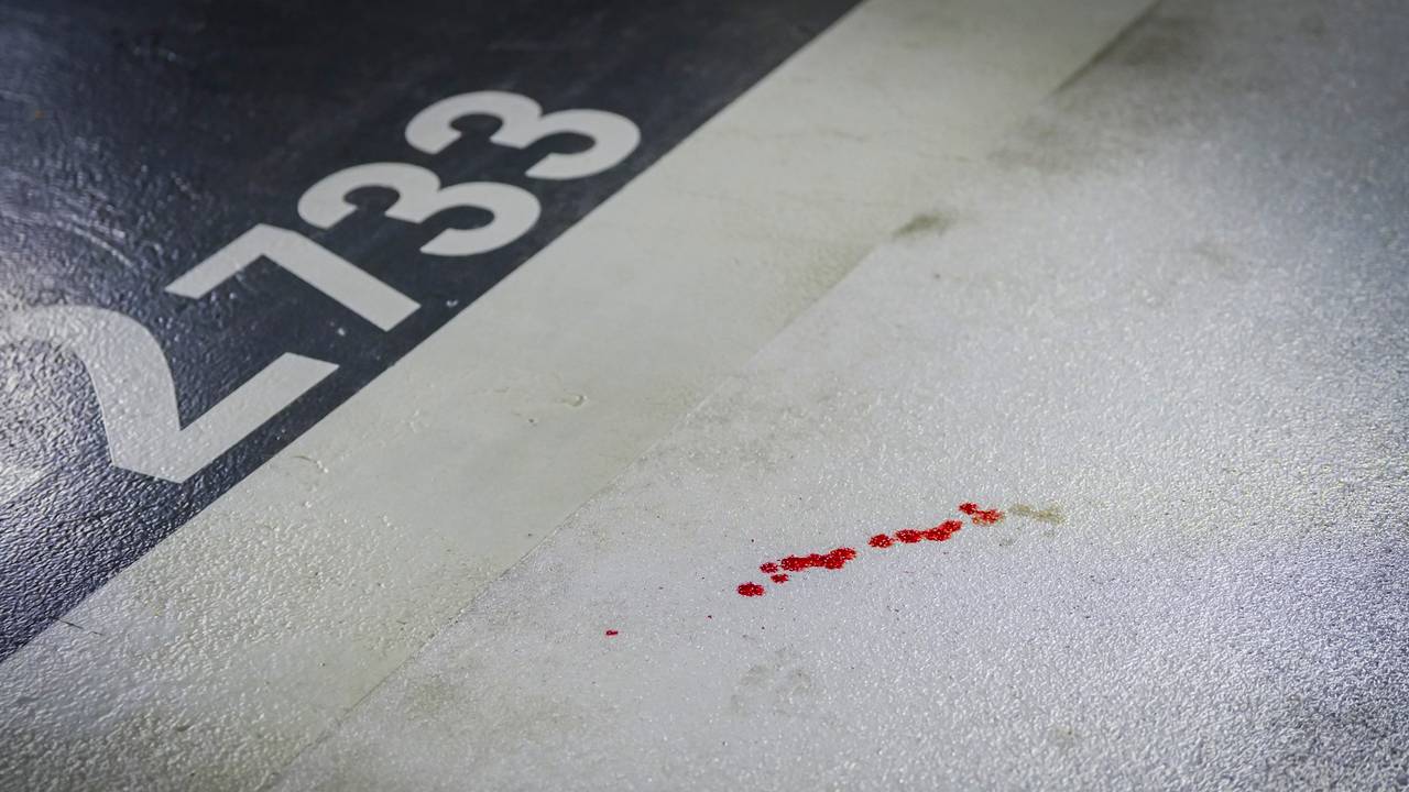 Eén van de bloedsporen (foto: SQ Vision).