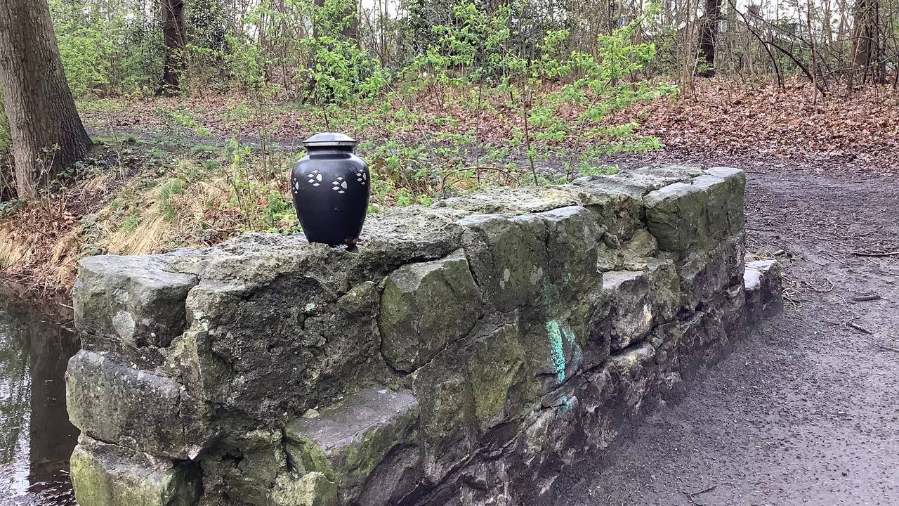 Foto: Wijk Burgerhout Buurtpagina Roosendaal