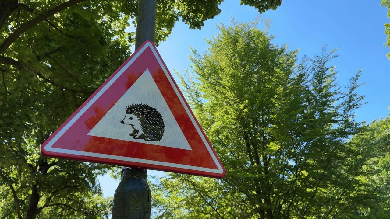 Het verkeersbord dat waarschuwt voor overstekende egels (foto: Dtv Nieuws).