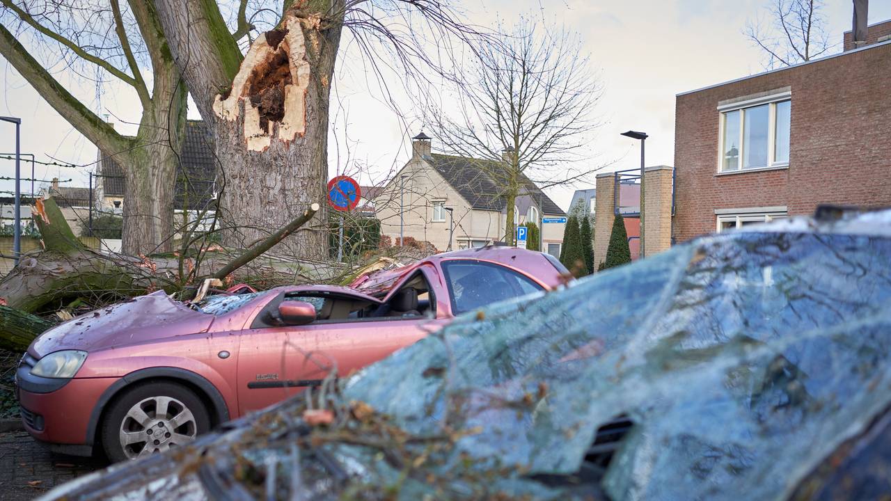 Foto: Rob van Kaathoven.