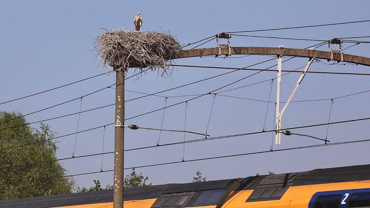 Foto: Instagram/Patrick Bisseling